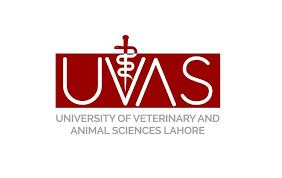 University Of Veterinary & Animal Sciences UVAS Jobs 2025
